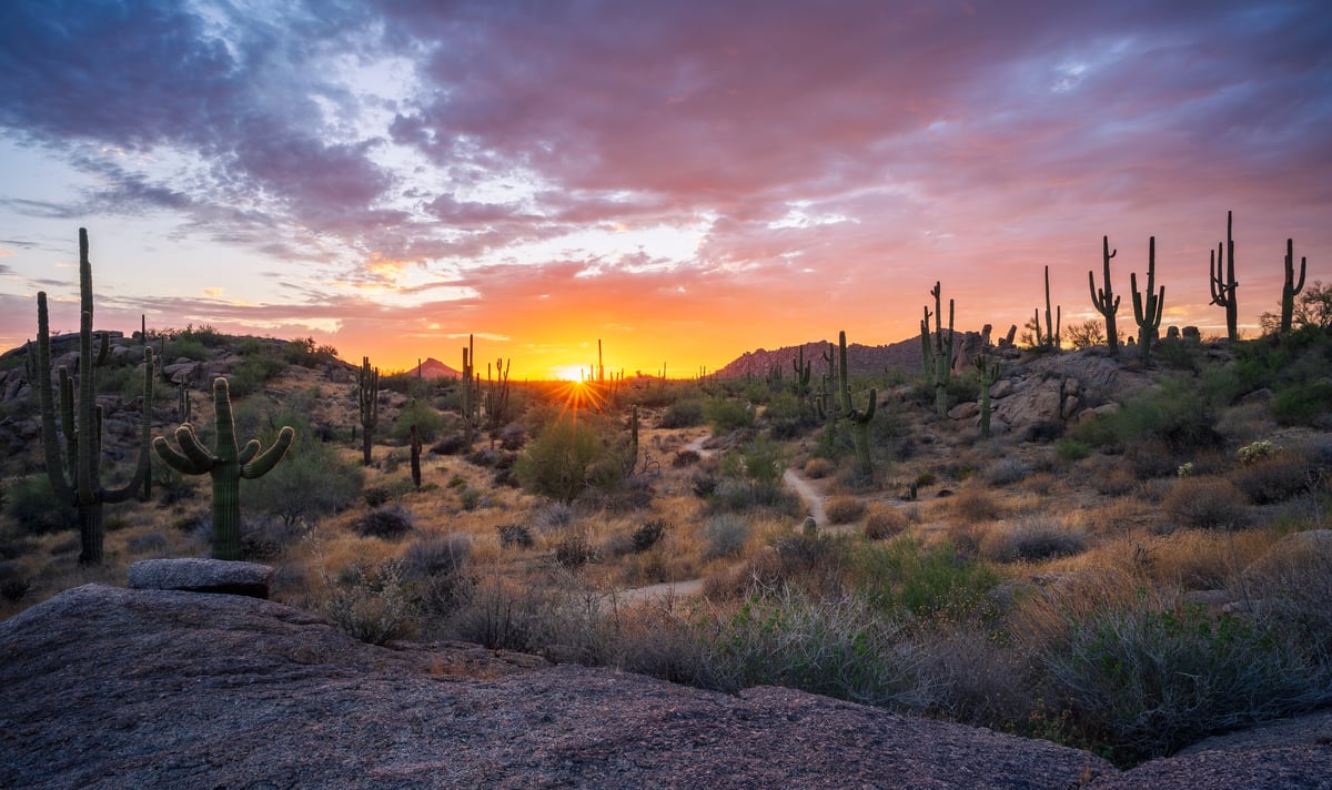 Scottsdale Arizona desert landscape sunset